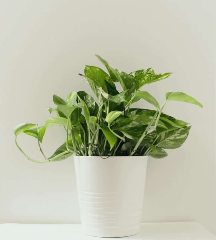 image 9@2x