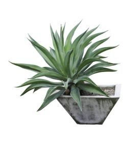 image 11@2x